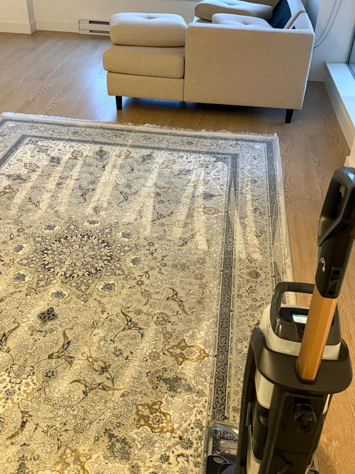 Professional carpet wash by Bright Host